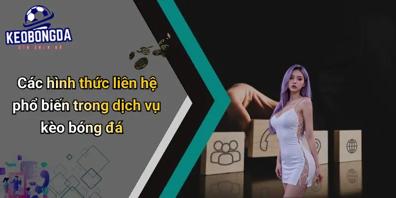 Các hình thức liên hệ phổ biến trong dịch vụ kèo bóng đá