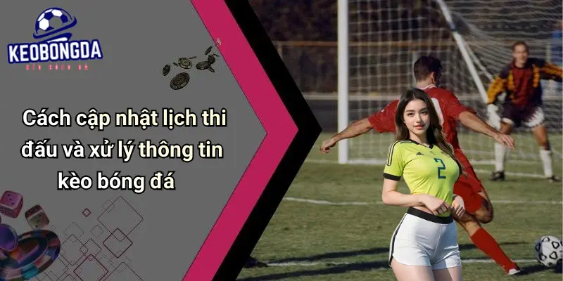 Cách cập nhật lịch thi đấu và xử lý thông tin kèo bóng đá