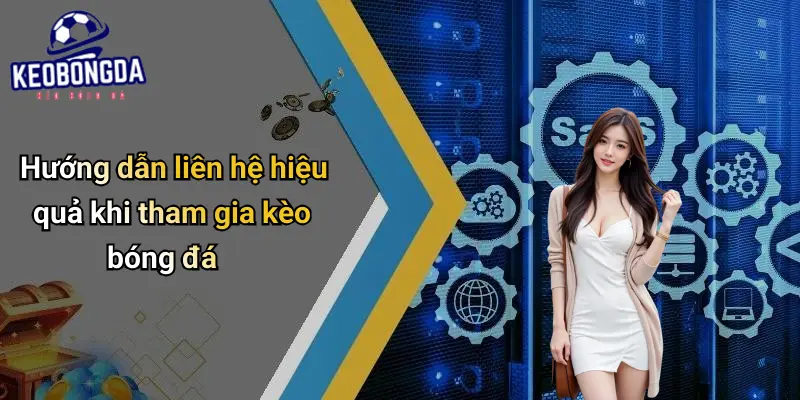 Hướng dẫn liên hệ hiệu quả khi tham gia kèo bóng đá