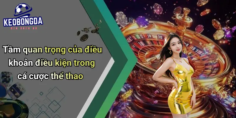 Tầm quan trọng của điều khoản điều kiện trong cá cược thể thao