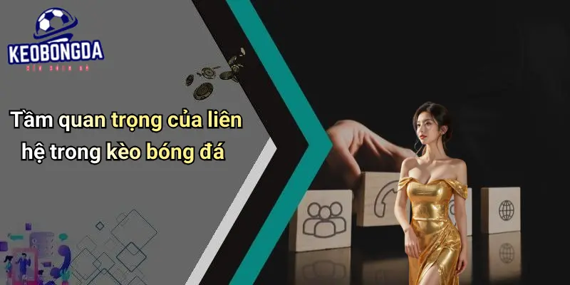 Tầm quan trọng của liên hệ trong kèo bóng đá