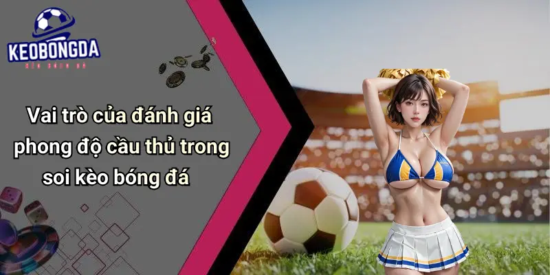 Vai trò của đánh giá phong độ cầu thủ trong soi kèo bóng đá