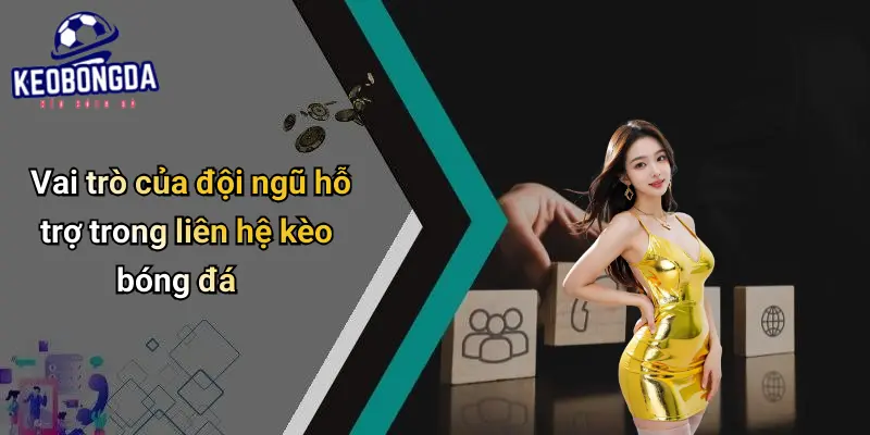 Vai trò của đội ngũ hỗ trợ trong liên hệ kèo bóng đá