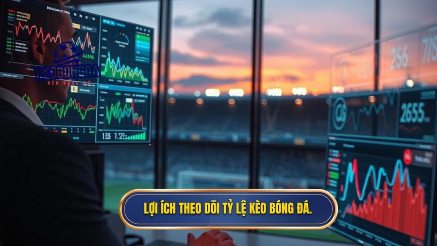 Lợi ích theo dõi tỷ lệ kèo bóng đá