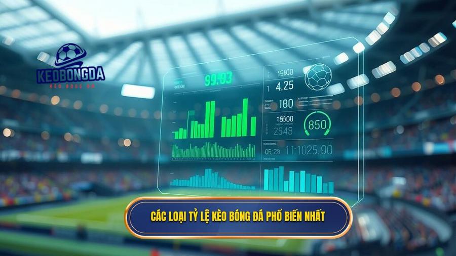 Các loại tỷ lệ kèo bóng đá phổ biến nhất