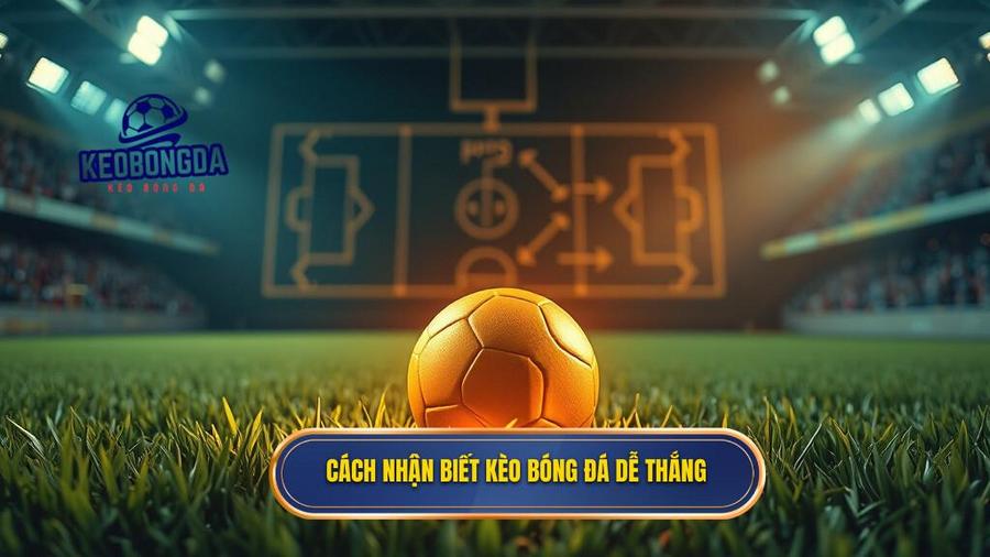 1. Cách nhận biết kèo bóng đá dễ thắng