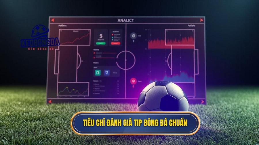 Các tiêu chí đánh giá một tip bóng đá chất lượng