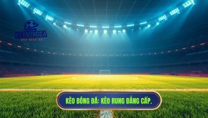 Kèo đang rung theo thế trận